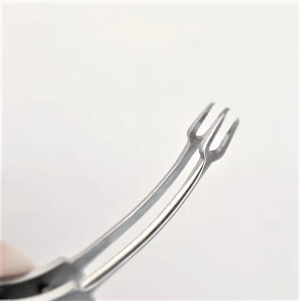 PINZA CORNEAL DOBLE POLACK  5