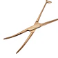 PINZA HEMOSTATICA KELLY DE 16CM - Miniatura 5