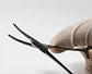 PINZA MICROMOSQUITO CURVA DE 10CM  - Miniatura 2