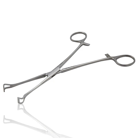 PINZA BABCOCK DE 16CM