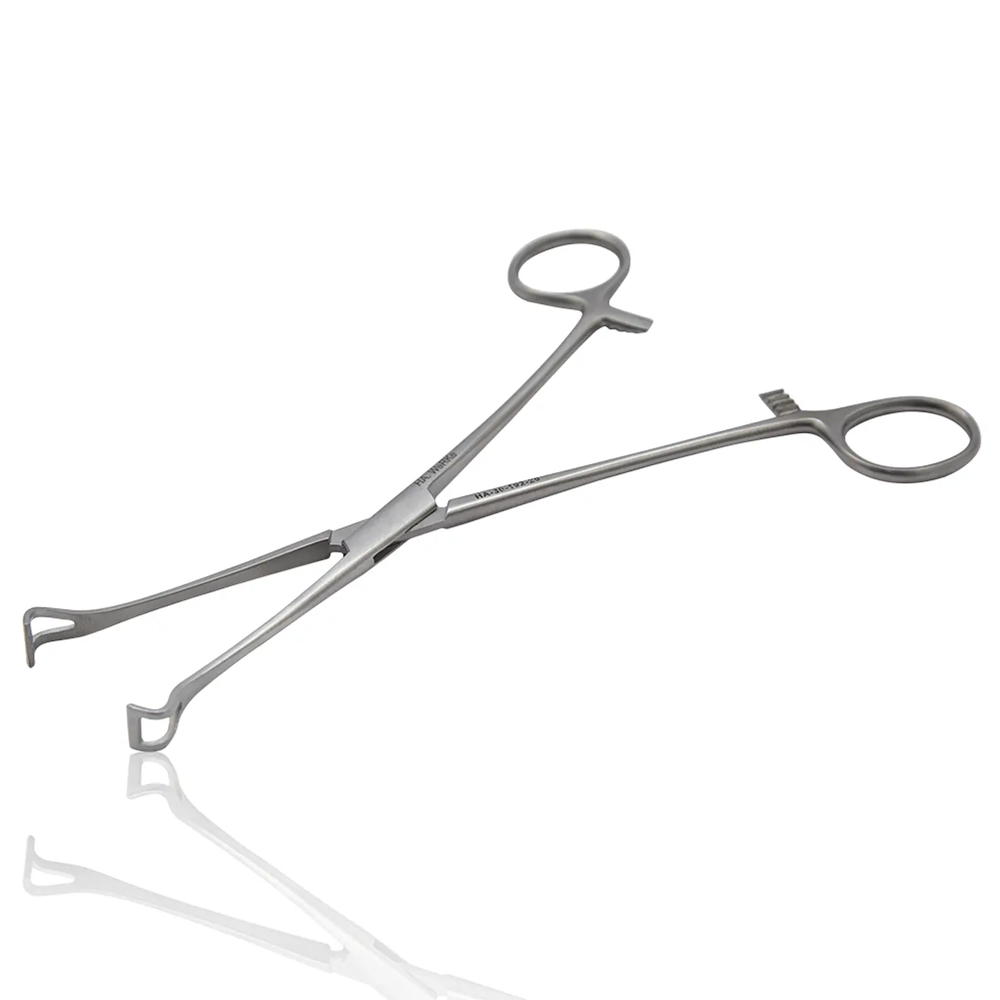 PINZA BABCOCK DE 16CM 1