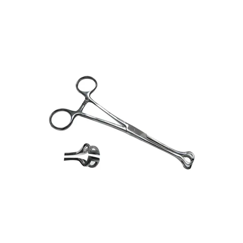 PINZA BABCOCK DE 17CM 3
