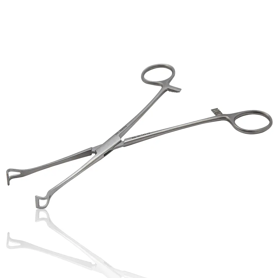 PINZA BABCOCK DE 17CM 1