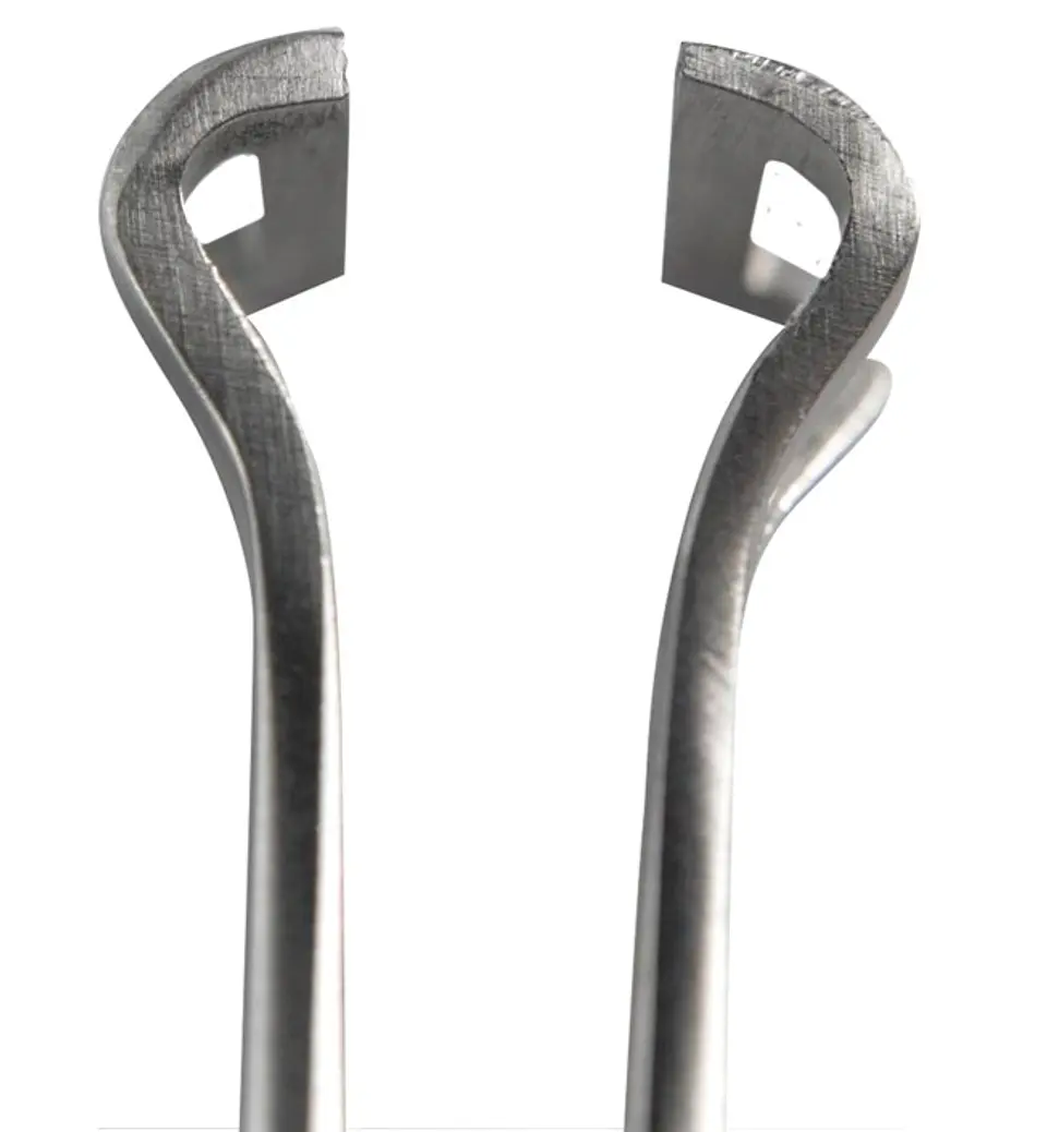 PINZA BABCOCK DE 17CM 2