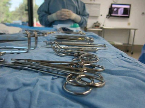 SET OVH FELINO 22 PIEZAS