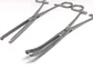 PINZA HEMOSTATICA KOCHER RECTA O CURVA DE 18CM - Miniatura 1