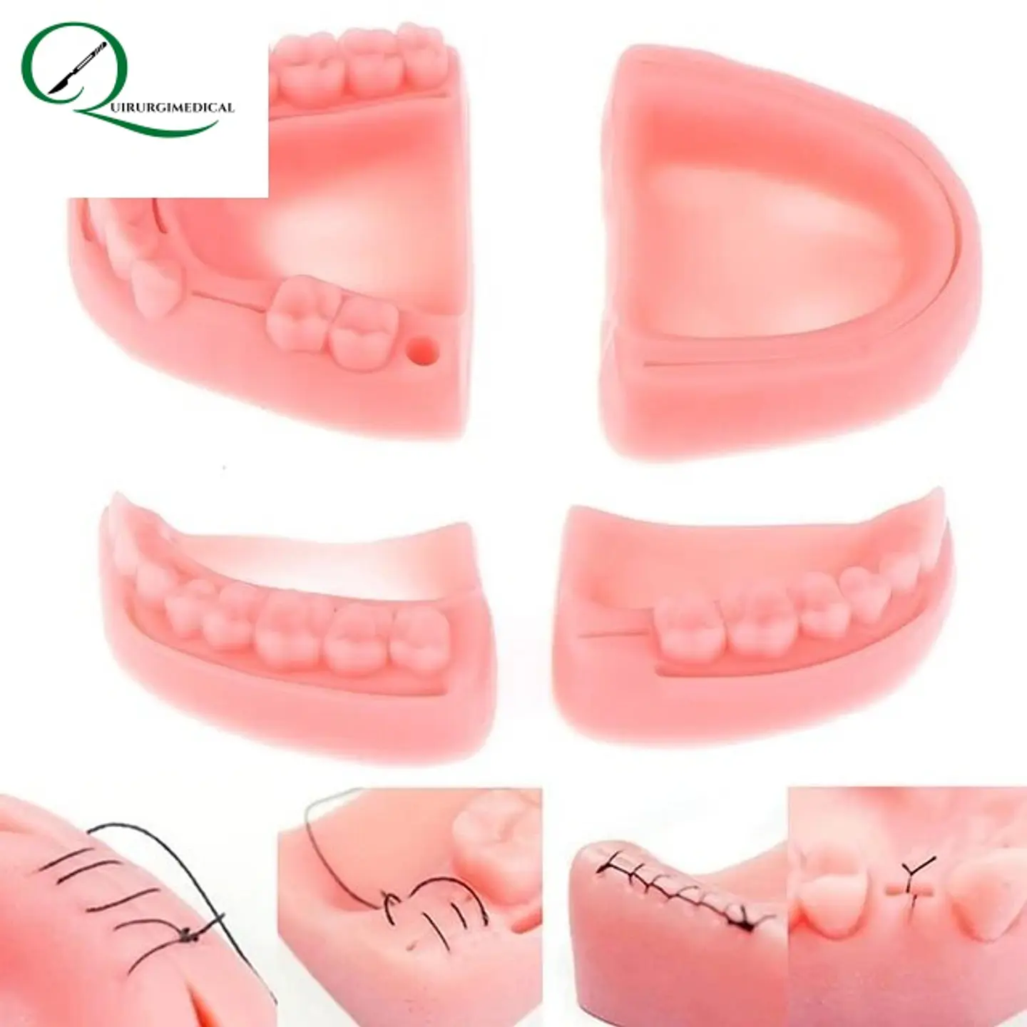SIMULADOR DE SUTURA DENTAL 2