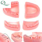 SIMULADOR DE SUTURA DENTAL - Miniatura 2