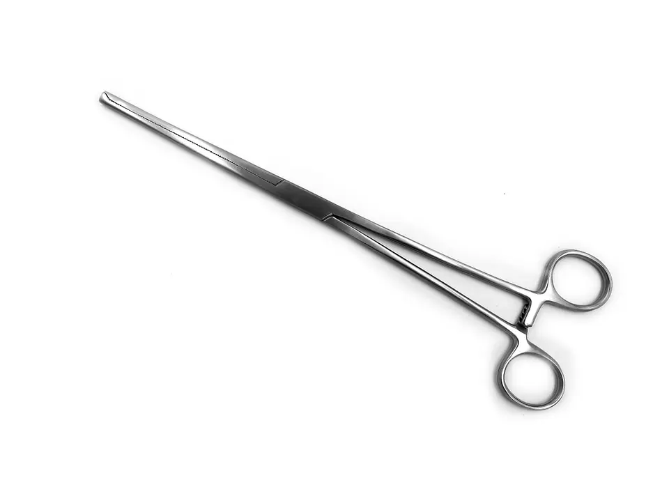 PINZA KOCHER DE 25CM PK 1