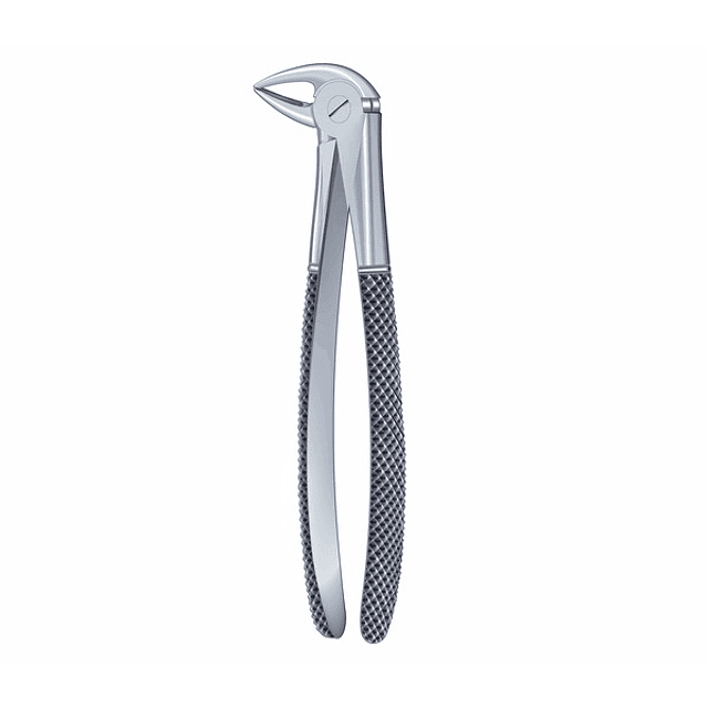 FORCEPS PICOLORO 22S
