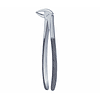 FORCEPS PICOLORO 22S