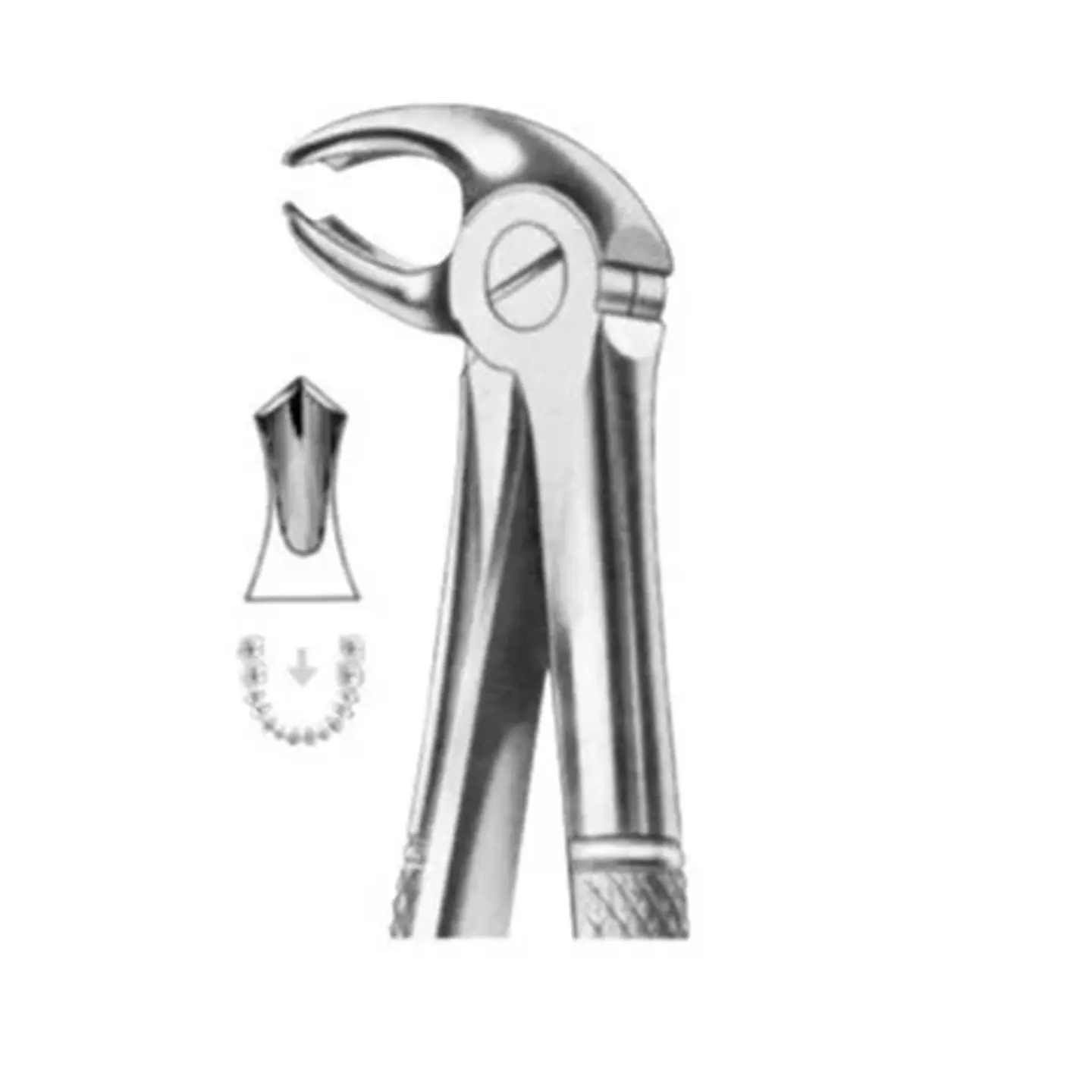FORCEPS PICOLORO 22S 1