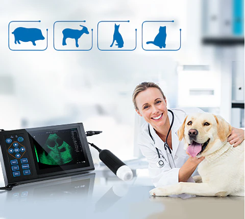 Ecografo Veterinario Gestacional Economico
