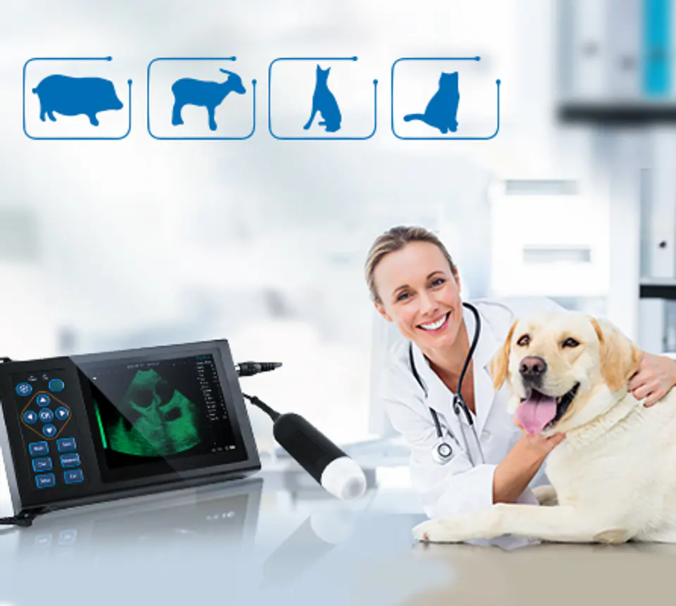 Ecografo Veterinario Gestacional Economico 1