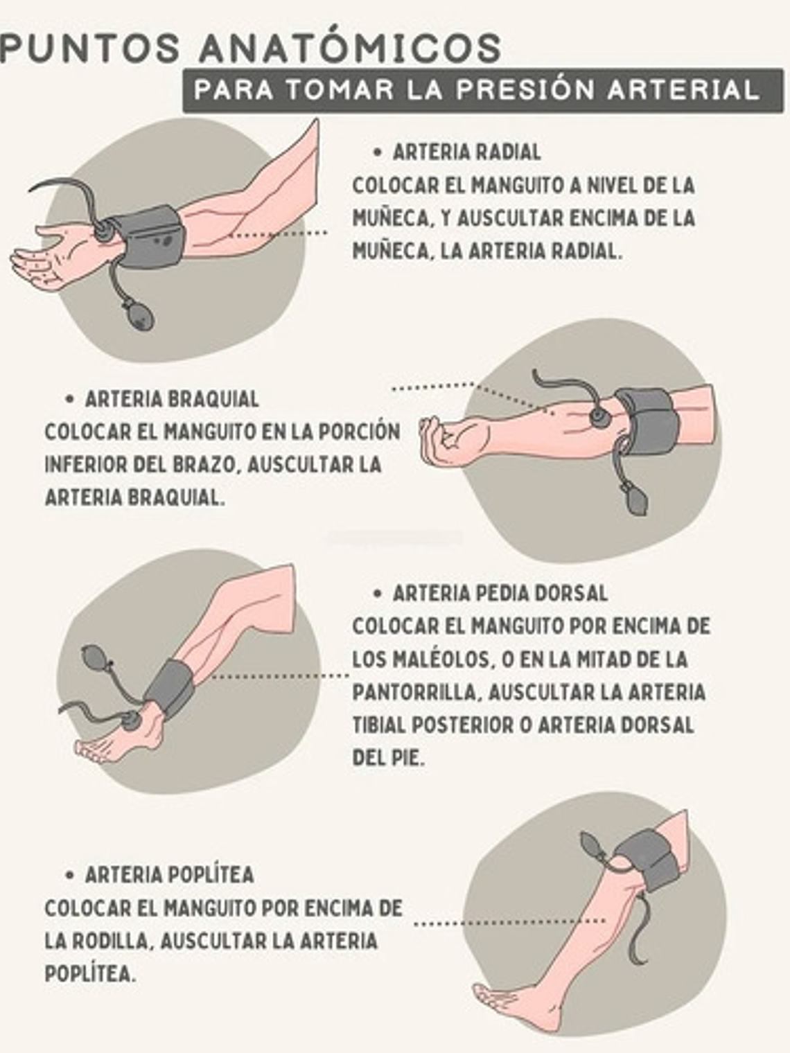 Brazalete/ Manguito Xxl Toma Presión Digital Obeso 46 -66 Cm 5