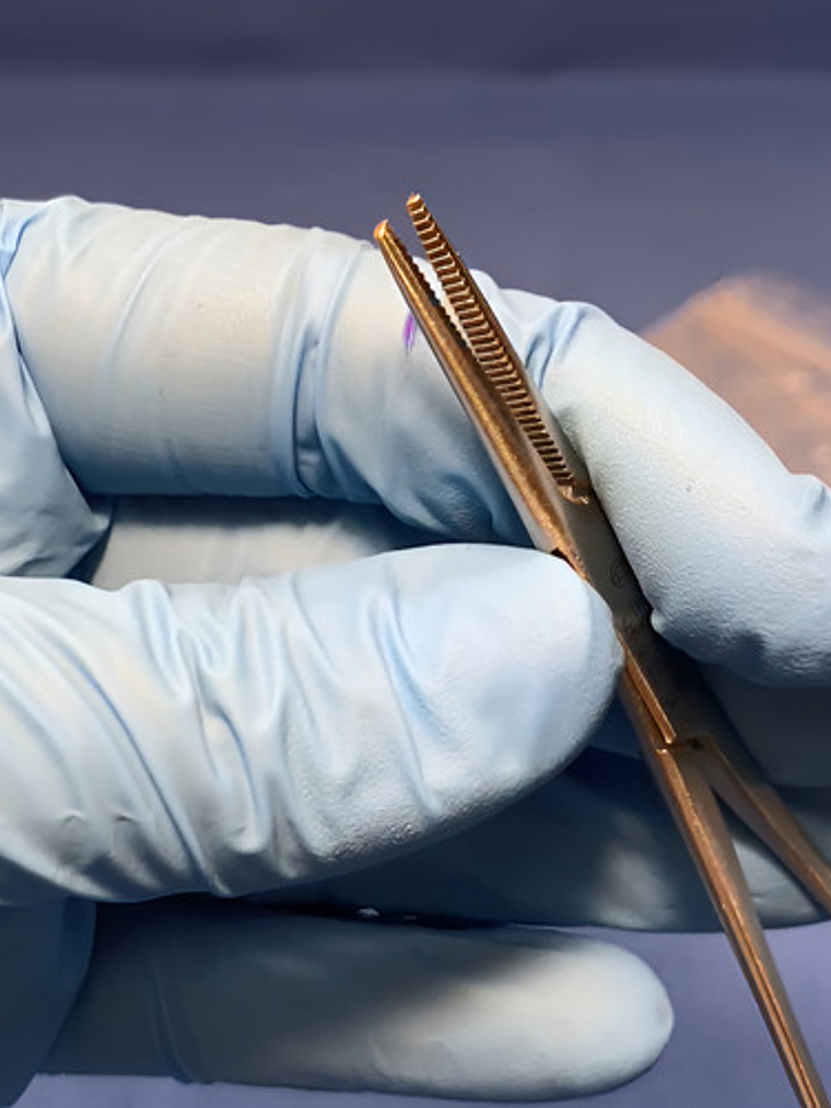 Pinza Hemostática Mosquito Recta 12cm Germany Steel 6