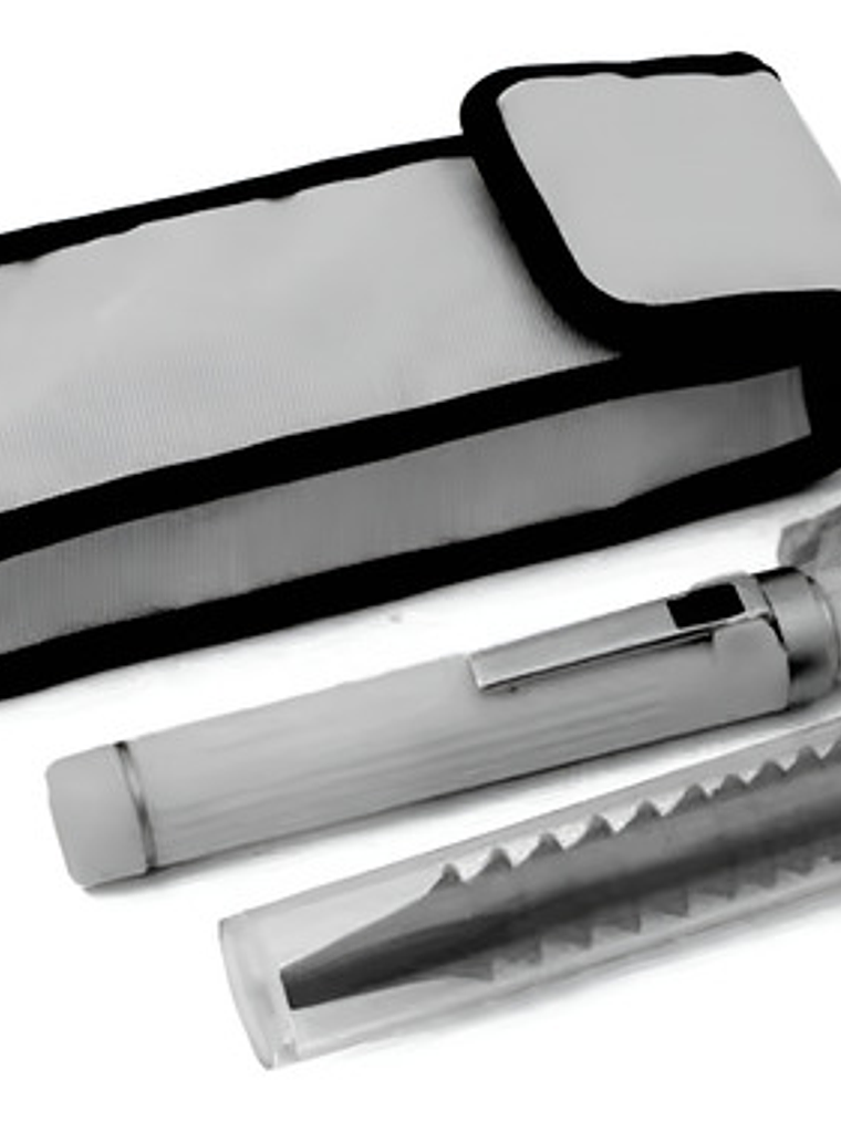 Otoscopio Led Optica + 10 Conos Medico Reflejo Examen Gris 1