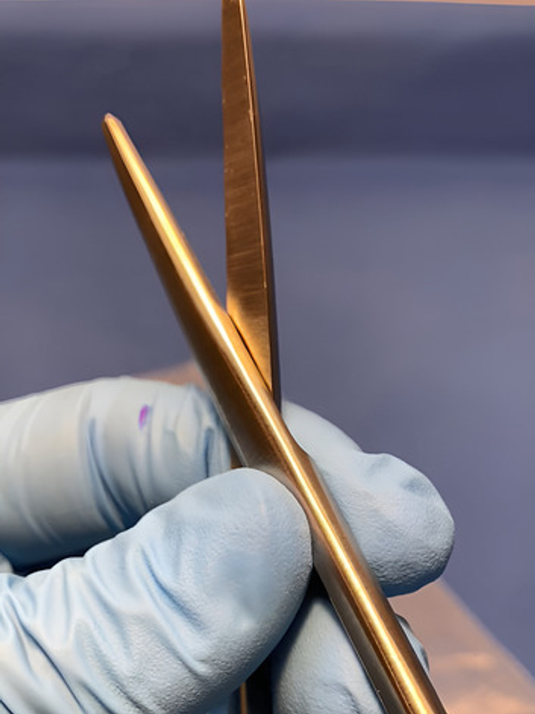 Tijera Metzenbaum Recta 15cm Germany Steel 3