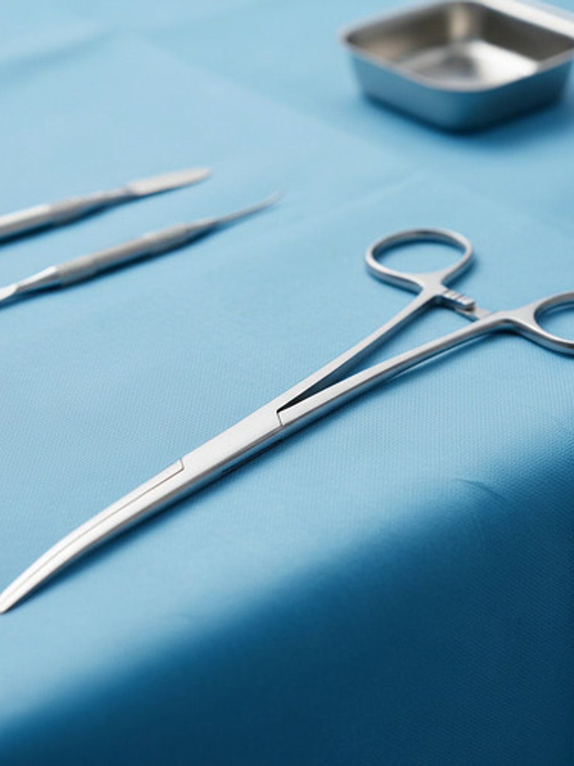 Pinza Kelly Curva 16 Cm 5