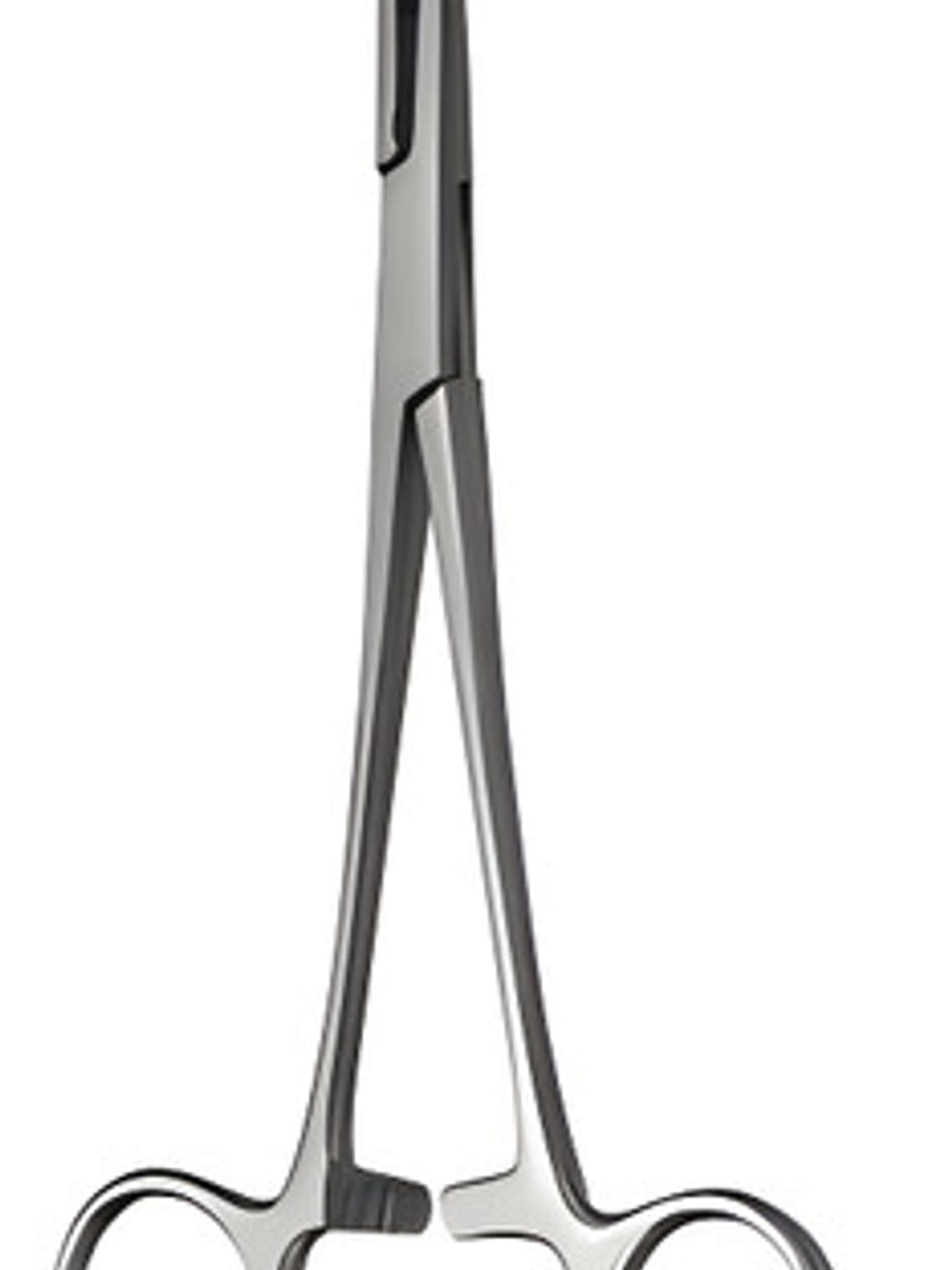 Pinza Kelly Curva 16 Cm 6