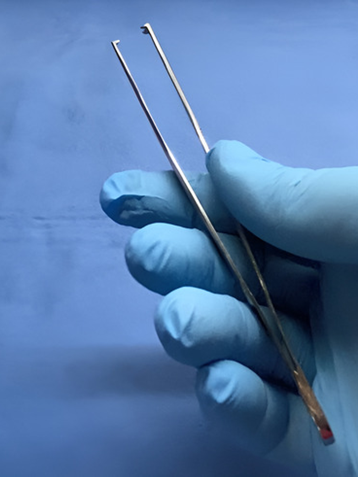 Pinza Quirúrgica 14cm Diente De Ratón Germany Steel 2