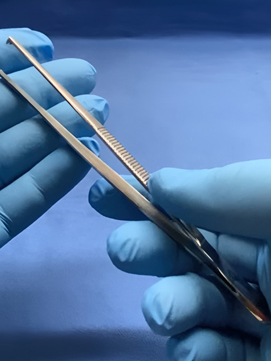 Pinza Quirúrgica 14cm Diente De Ratón Germany Steel 9