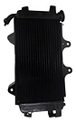 Radiador Sin Ventilador Original Ktm Duke 250/390  - Miniatura 1