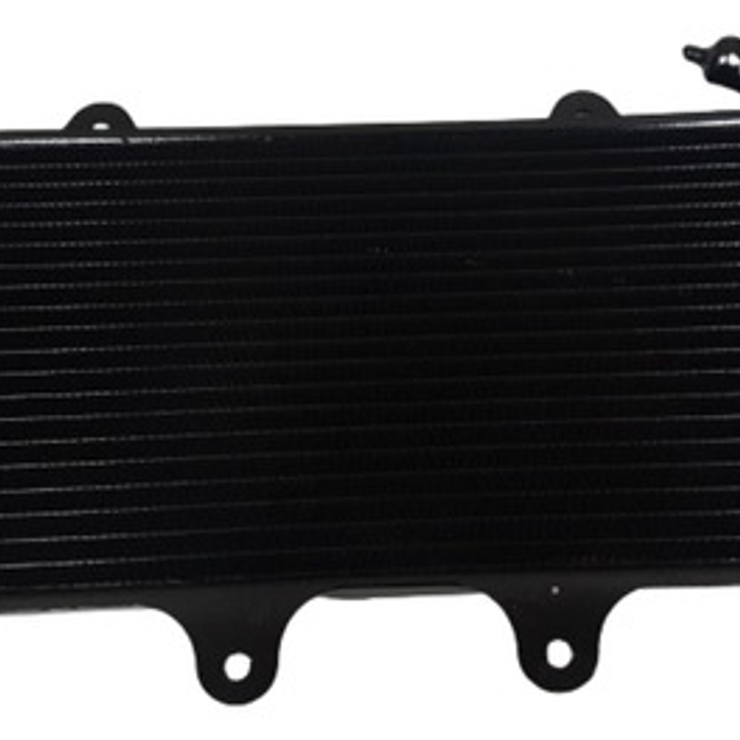 Radiador Sin Ventilador Original Ktm Duke 250/390  6