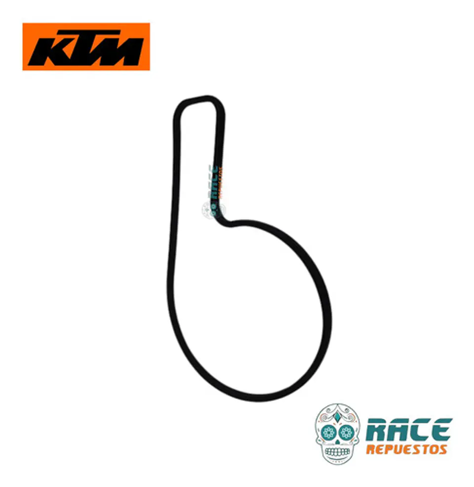 Empaque Cubierta Bomba Agua  Original Ktm Duke Rc Svartpilen 3