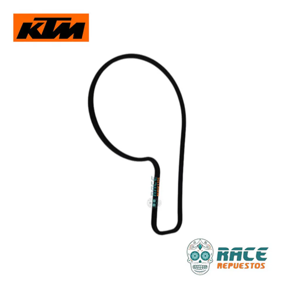 Empaque Cubierta Bomba Agua  Original Ktm Duke Rc Svartpilen 4
