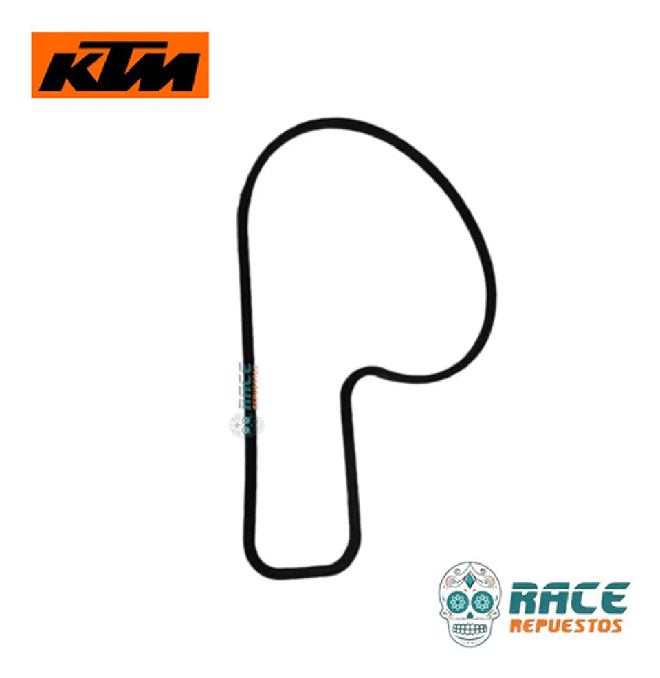 Empaque Cubierta Bomba Agua  Original Ktm Duke Rc Svartpilen 5