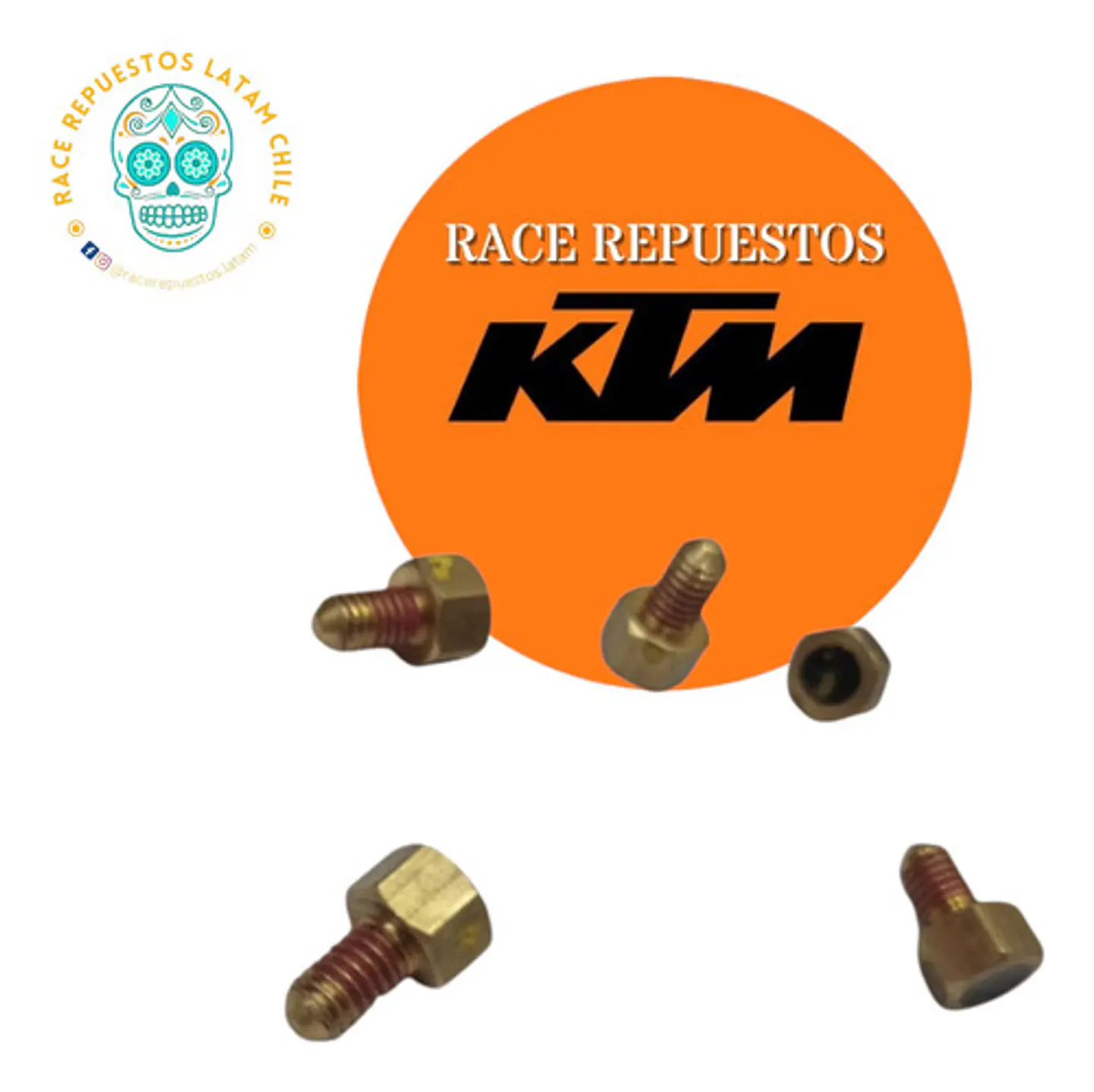 Tornillo Soporte Lateral Original Ktm Duke 200,250,390 3