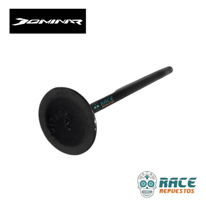 Valvula Exosto Dominar 400 Original Nueva 2