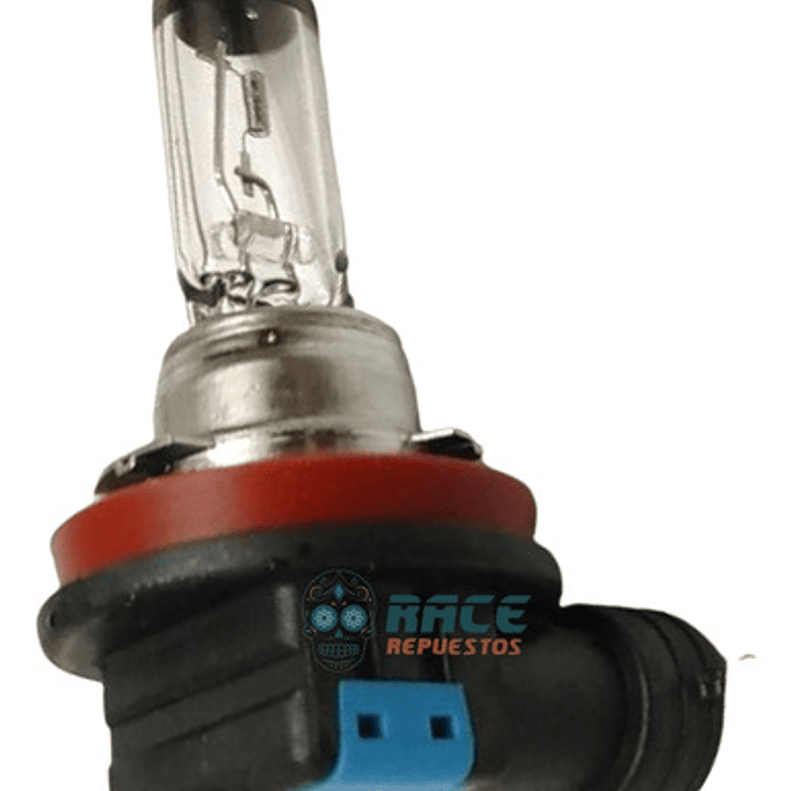 Bombilla Foco 12v H9 65wktm Rc 200/390  Original Nuevo 1