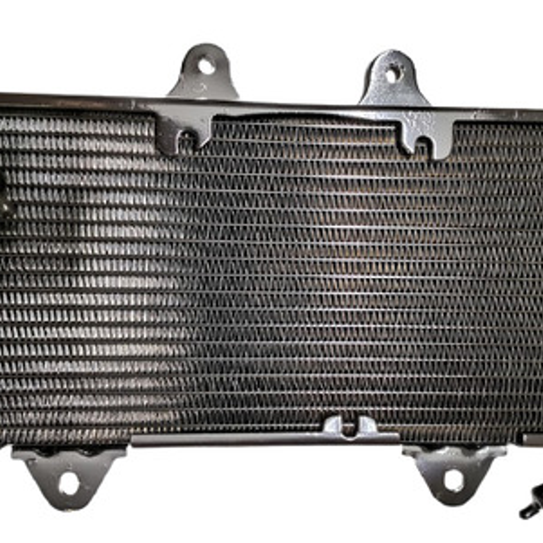 Radiador Ktm Duke 390 Original Nuevo 1