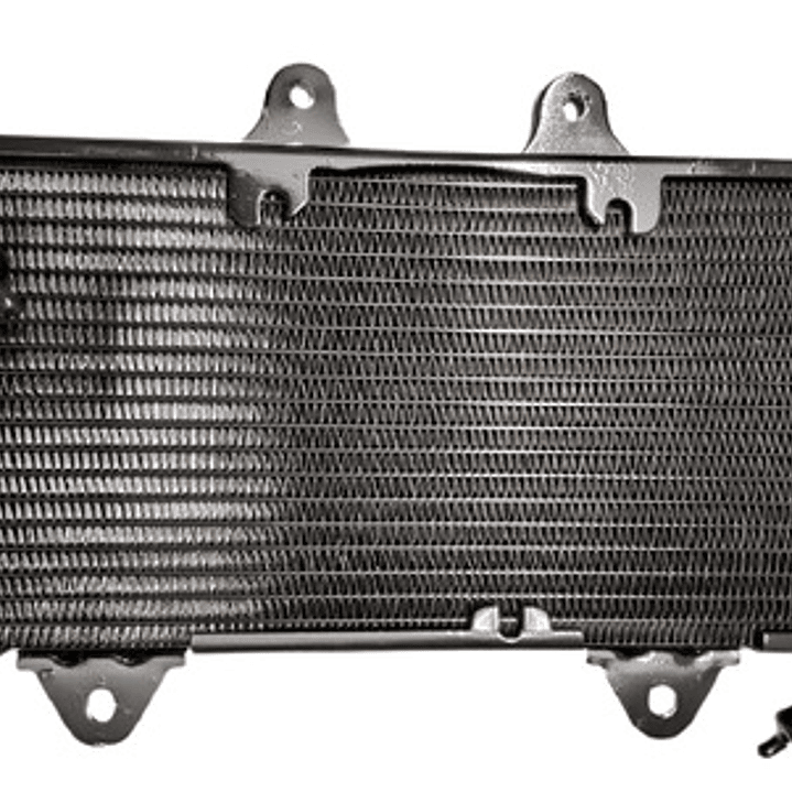 Radiador Ktm Duke 390 Original Nuevo 1