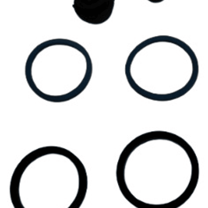 Kit Retenes Caliper Dominar 400 Sin Abs Original Nuevo 5