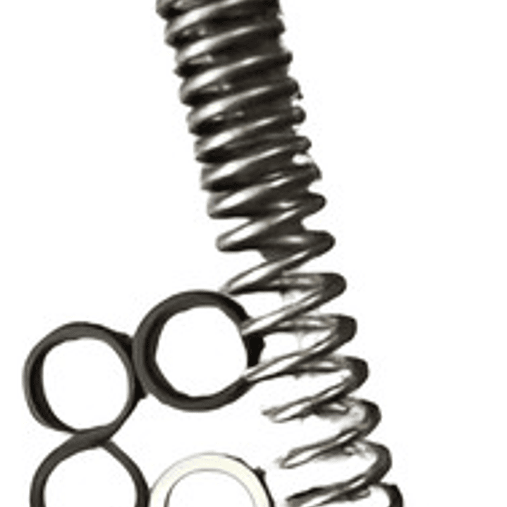 Resorte Interno De Barras De Suspension Ktm Duke 200 Nuevo 1