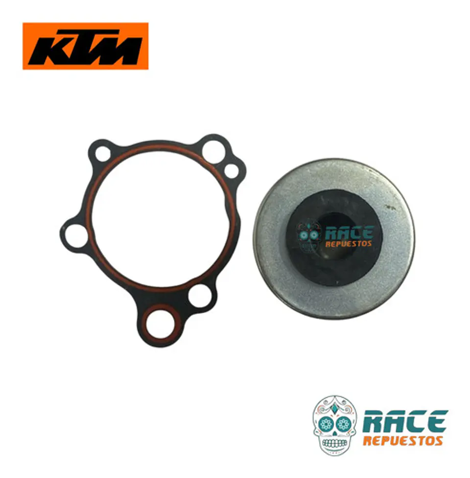 Kit Filtro De Aceite Y Empaque Ktm Svartpilen 401 Original 3