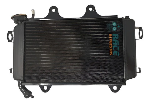Radiador Completo Ktm Duke 200 2013-2019 Original