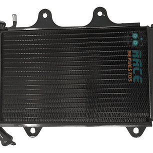 Radiador Completo Ktm Duke 200 2013-2019 Original