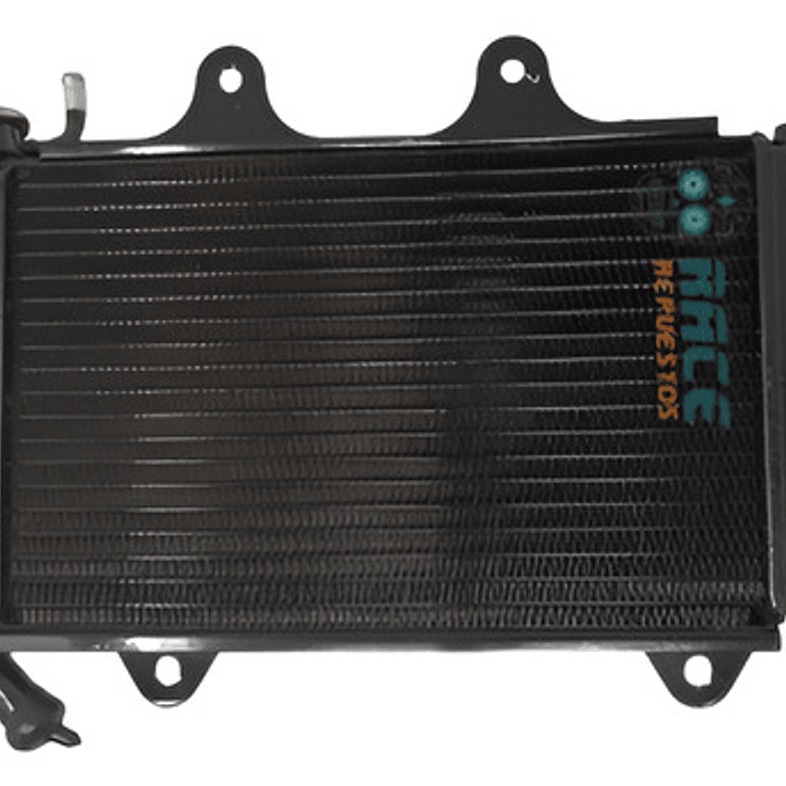 Radiador Completo Ktm Duke 200 2013-2019 Original 1