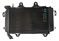 Radiador Completo Ktm Duke 200 2013-2019 Original - Miniatura 1
