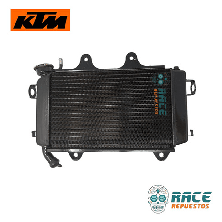 Radiador Completo Ktm Duke 200 2013-2019 Original 2