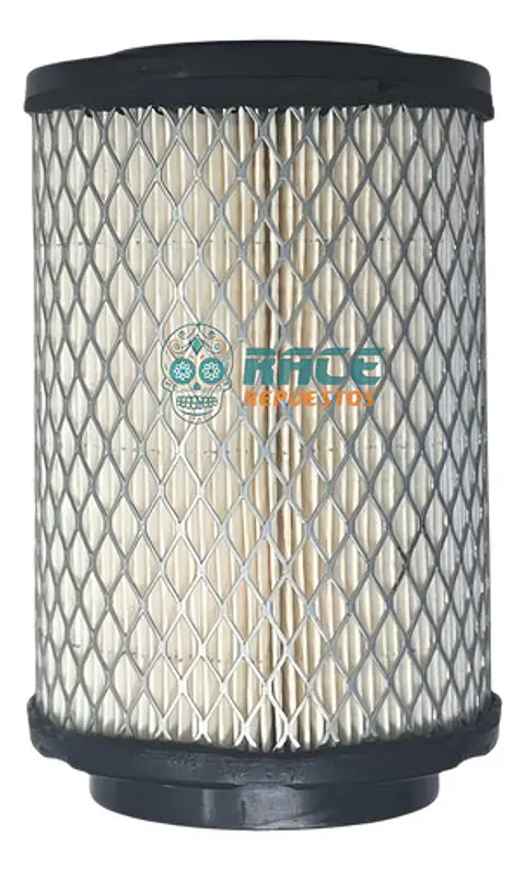 Filtro De Aire Royal Enfield Himalayan Abs Bsvi Original