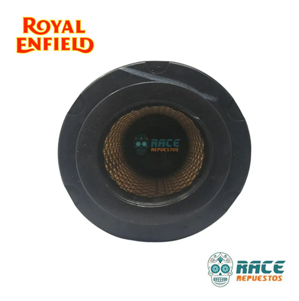 Filtro De Aire Royal Enfield Himalayan Abs Bsvi Original 2