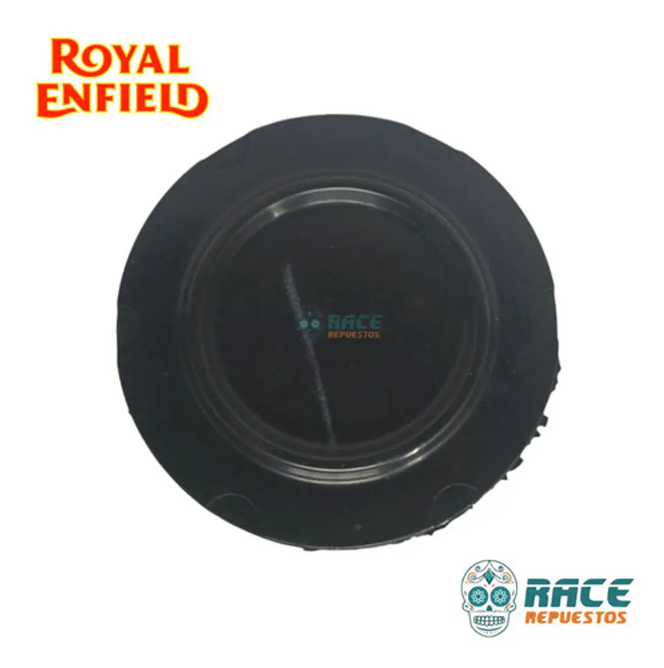 Filtro De Aire Royal Enfield Himalayan Abs Bsvi Original 5