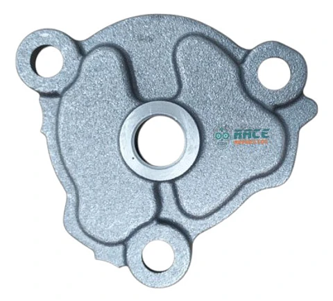Cubierta Bomba De Agua Ktm Duke 390 Gen-3 Original Nuevo