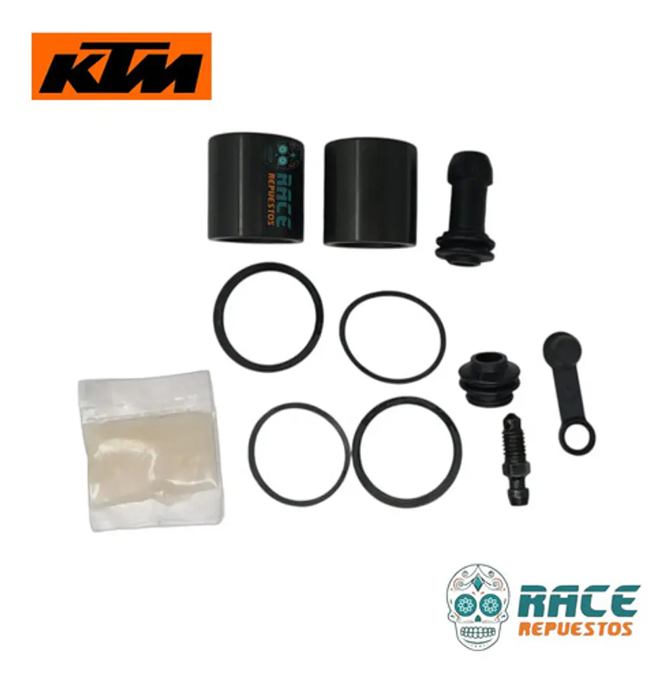 Kit Reparacion Caliper Freno Trasero Sin Piston Ktm Duke 200 1
