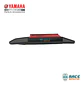 Filtro De Aire Yamaha Ray Zr Bsvi Original Nuevo - Miniatura 2